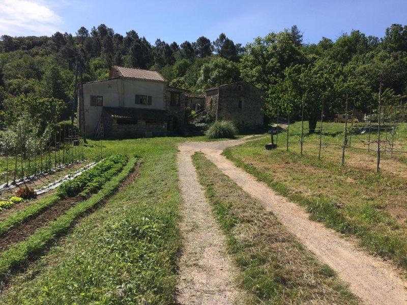 Deux Chambres D Hotes Attenantes Avec Salon Salle A Manger Privatif En Cevennes Gardoises Saint-Jean-du-Gard Kültér fotó